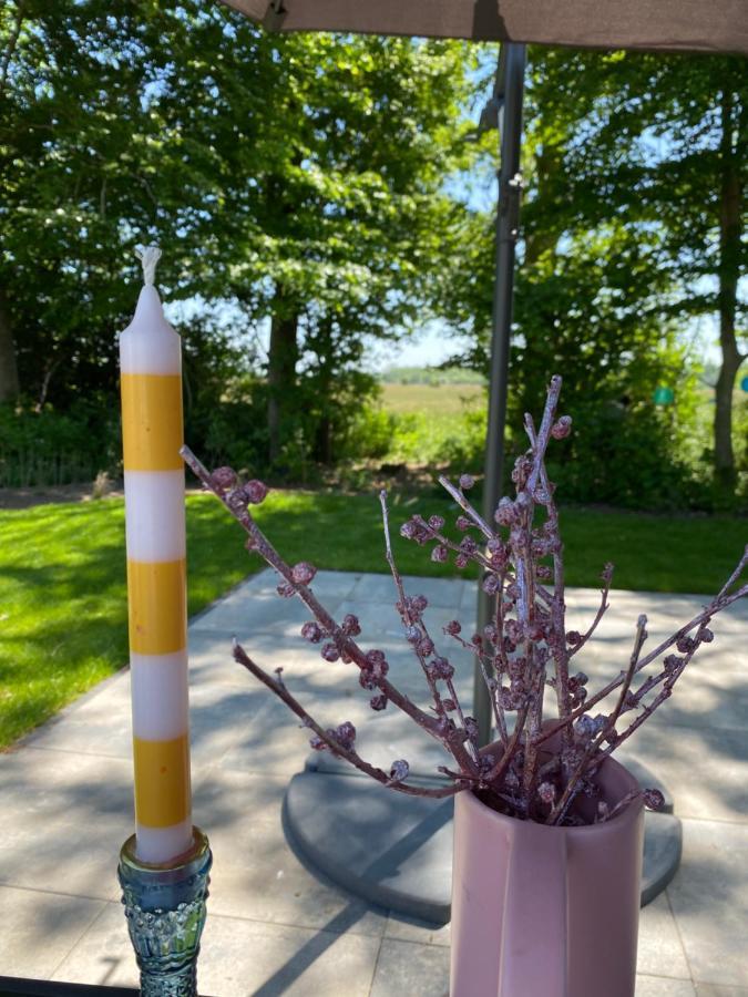Luxe En Gezellig Chalet Aan Veluwemeer 4 Pers Hulshorst Luaran gambar