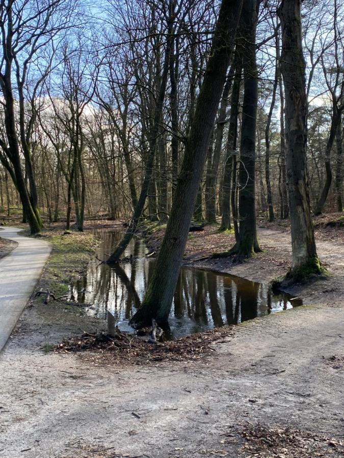 Luxe En Gezellig Chalet Aan Veluwemeer 4 Pers Hulshorst Luaran gambar